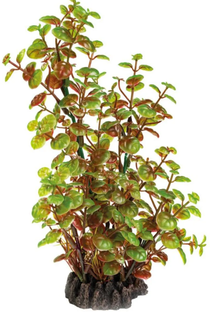 Plante artificielle pour aquarium ou terrarium coloris vert Rotala SuperFish Art Plant M - 25 cm