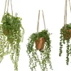 Plante artificielle verte avec suspension - Ø 10 x H 40 cm