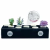 Plateau de corail magnétique AQUA MEDIC frag board