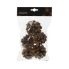Pommes de pin naturelles