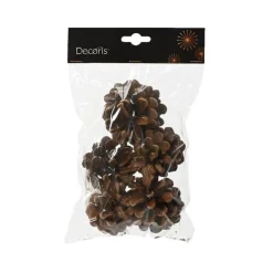Pommes de pin naturelles