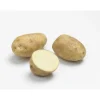 Pommes de terre Bintje calibre 28/35, 60 plants