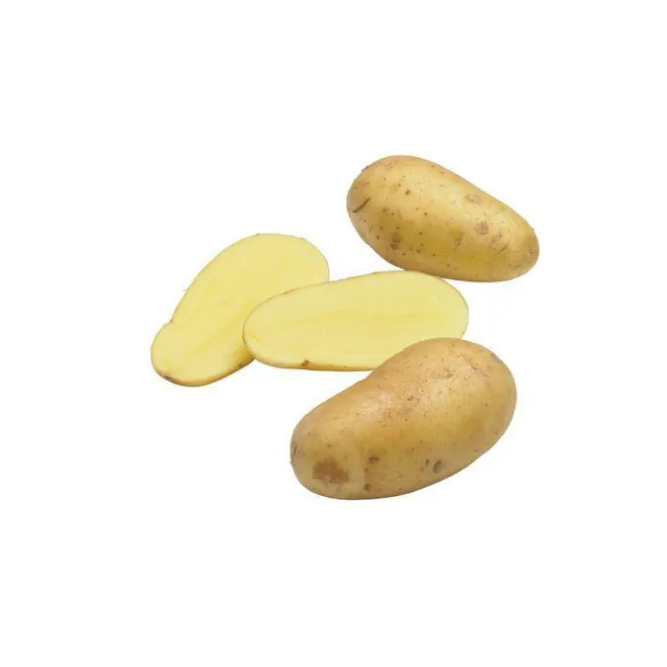 Pommes de terre Charlotte bio calibre 0001, 60 plants