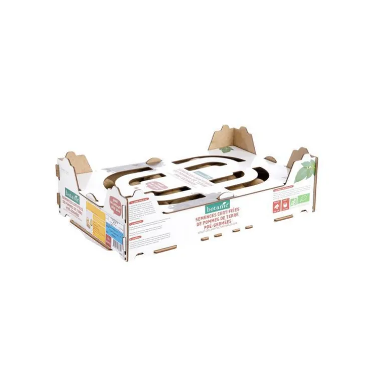 Pommes de terre Monalisa Bio calibre 0001, 60 plants