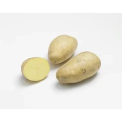 Pommes de terre Monalisa bio calibre 0001, 100 plants