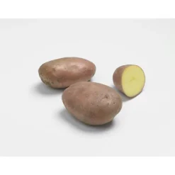Pommes de terre Rosabelle bio calibre 0001, 3 kg