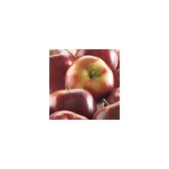 Pommier Delbard Celeste® Deltana. En racine nue, forme gobelet