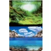 Poster aquascaping océan, face plantes - AQUA NOVA modèle S - 60x30 cm