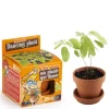 Pot avec coupelle et plante qui danse Ø8 cm