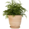 Pot Campanas lisse en terre cuite - D40xH35
