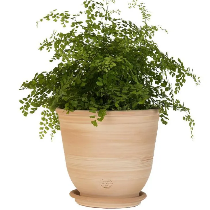 Pot Campanas lisse en terre cuite - D40xH35