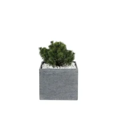 Pot carré bas Stream S/4 anthracite H.31 cm
