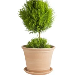 Pot Cocio Terraza en terre cuite claire D32x H25