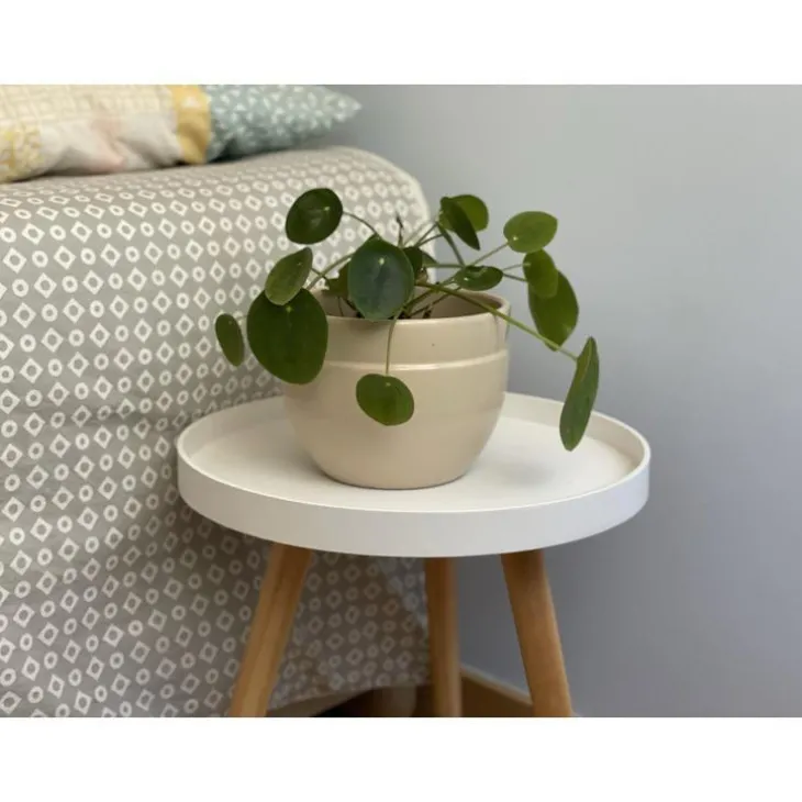 Pot coloris beige en terre émaillée Austral - Ø 16 cm