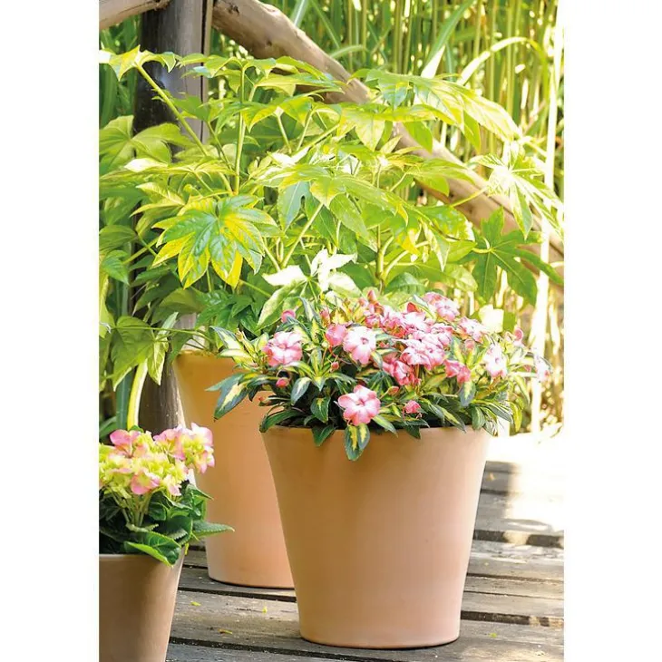 Pot Cono Antica en terre cuite claire – D31xH28,4