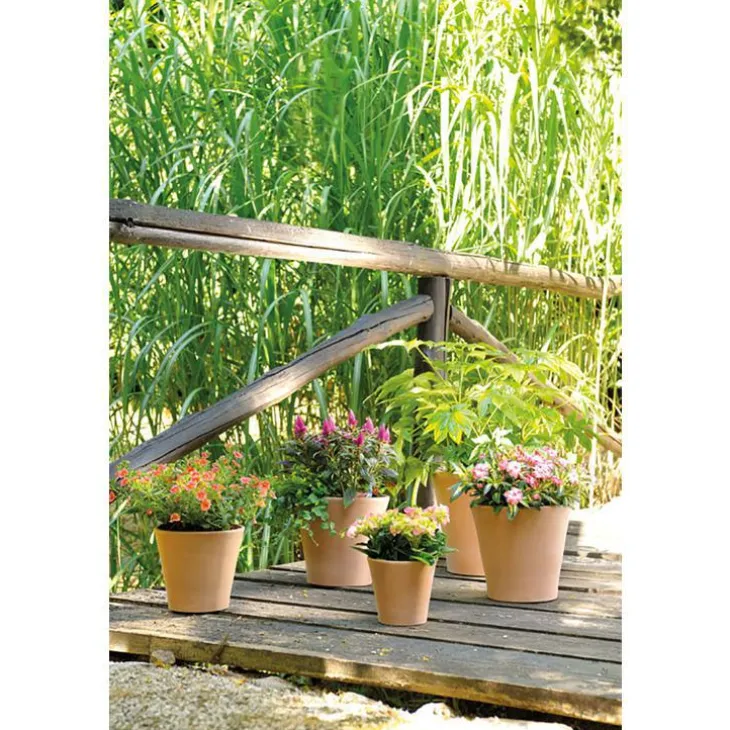 Pot Cono Antica en terre cuite claire – D31xH28,4