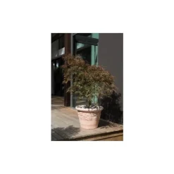 Pot Cuvier raisin naturel H 39 x Ø 52 cm