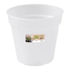 Pot D13 cm provence orchidées Elho transparent