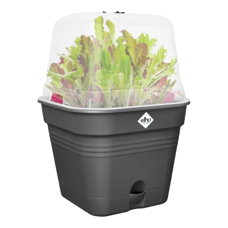 Pot de culture carré coloris living noir Elho Green Basics Allin1 - 35 cm