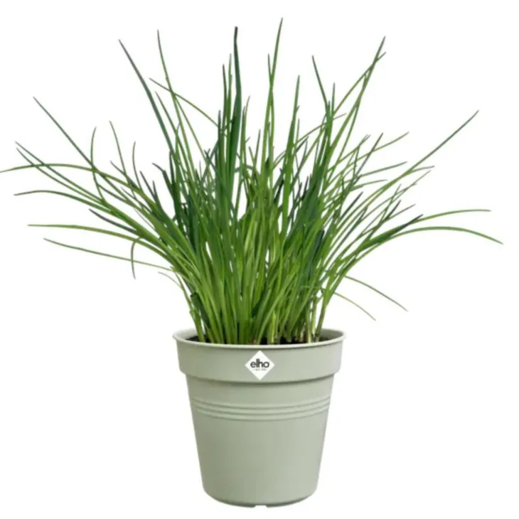Pot de culture en polypropylène vert pierre Elho Green basics - Ø 24 x H 22,1 cm