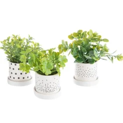 Pot de plante succulente coloris vert en céramique - Ø 8 cm