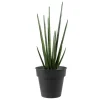 Pot horticole en acier peint anthracite Ø 19 x H 17 cm