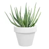 Pot horticole en terre cuite émaillée Blanc - D10 x H8.5