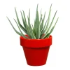 Pot horticole en terre cuite émaillée Rouge - D10 x H8.5