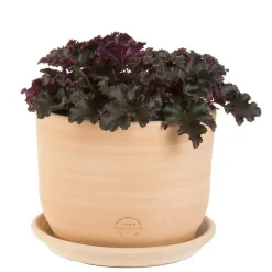 Pot Macetero terre cuite claire D26XH20