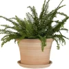 Pot rond Cocio Lisio en terre cuite claire – D30x H22