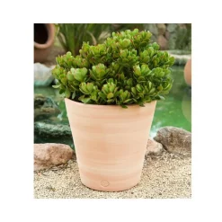 Pot Vaso lisse D33x H33