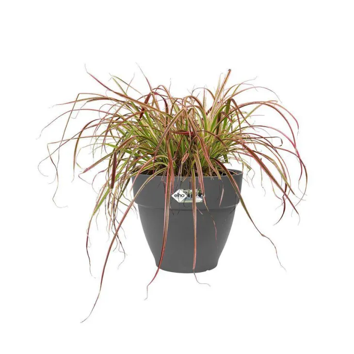 Pot vibia campana rond Elho de 11 L coloris noir Ø 30 x H 25 cm