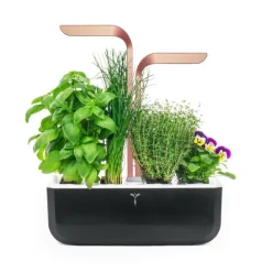 Potager d'intérieur autonome Véritable® SMART Black Copper - livré avec 4 lingots