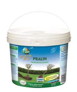 Pralin CP Jardin en seau - 750 g