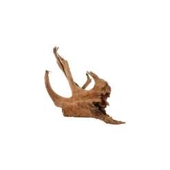 Racine Malaisie en bois naturel marron taille L 40/60 cm