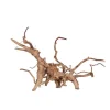 Racine Vigne rare rouge, Entre 40 et 80 cm