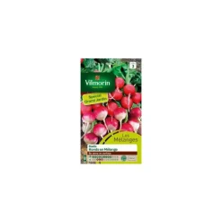 Radis Ronds en mélange Spécial grand jardin Vilmorin - graines à semer