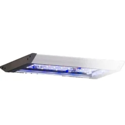 Rampe LED aquarius 30 Plus wi-fi pour aquarium marin AQUA MEDIC - 30cm