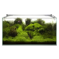 Rampe LED pour aquarium, jour & nuit, blanche 10W - AQUAEL Leddy Slim Sunny 2.0