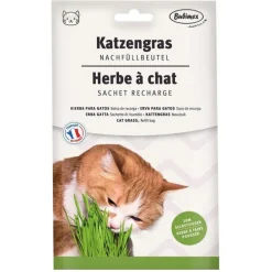 Recharge pour herbe à chat Bubimex