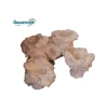Roche Eau de mer LV Neutre Petit Modèle Corallienne 18x10x10 cm