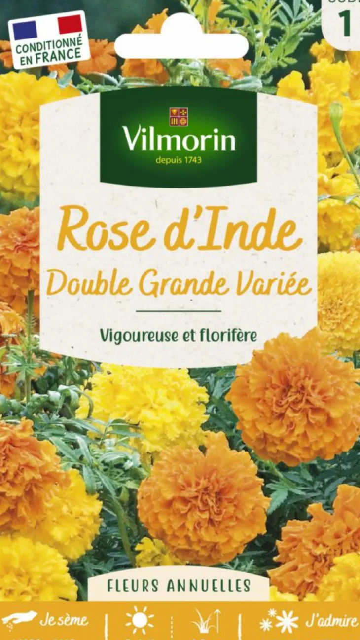Rose d'Inde Double grande variée Vilmorin - graines à semer