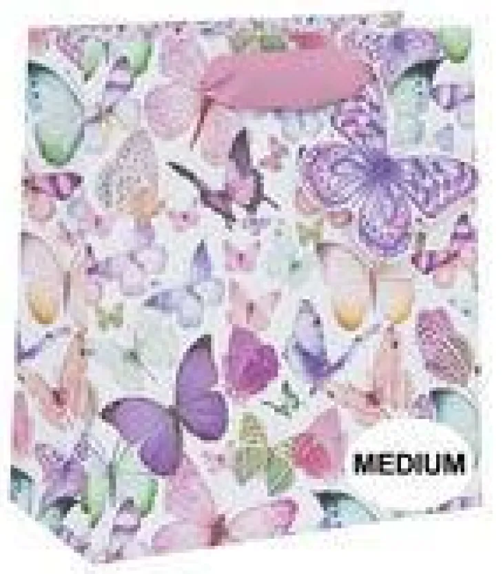 Sac cadeau multicolore à motifs Pictura