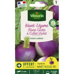 Sachet de graines de navet-légume blanc globe à collet violet