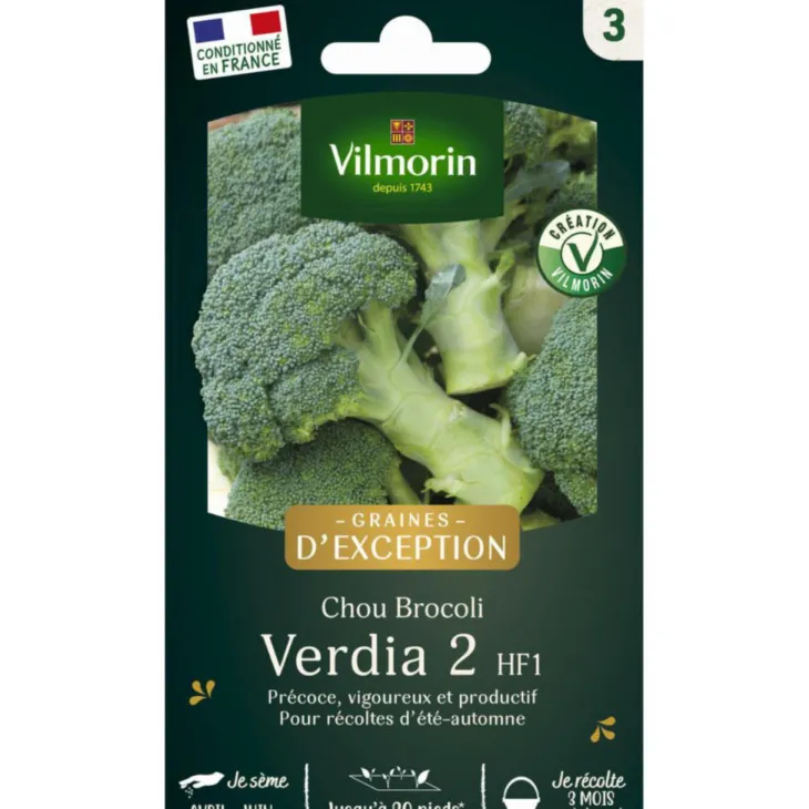 Sachet de semences potagères de graines de chou Brocoli Verdia 2 HF1 Graines d'Exception