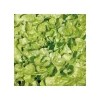 Salade A Couper Feuille De Chene Verte Kisheri Bio. La barquette de 12 plants