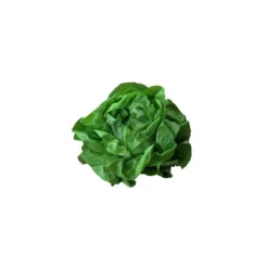 Salade laitue bio de France - Prix à la pièce