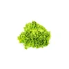 Salade scarole bio de France - Prix à la pièce