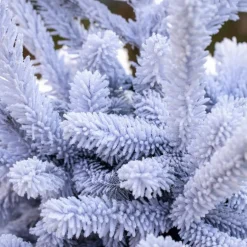 Sapin de Noël naturel blanc effet enneigé Diamant Robin®