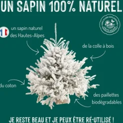 Sapin de Noël naturel blanc effet enneigé Diamant Robin®